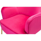 Lot de 2 fauteuils d'appoint modernes en velours avec pieds dorés