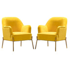 Lot de 2 fauteuils d'appoint modernes en velours avec pieds dorés