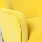 Lot de 2 fauteuils d'appoint modernes en velours avec pieds dorés